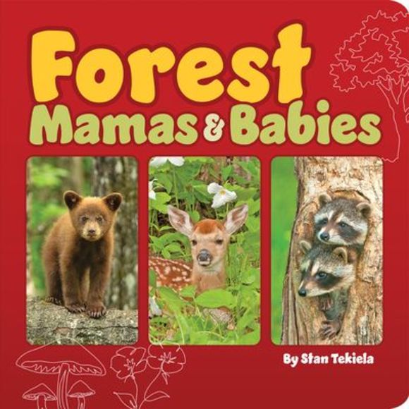 Forest Mamas & Babies -- Stan Tekiela - Picture 1 of 1